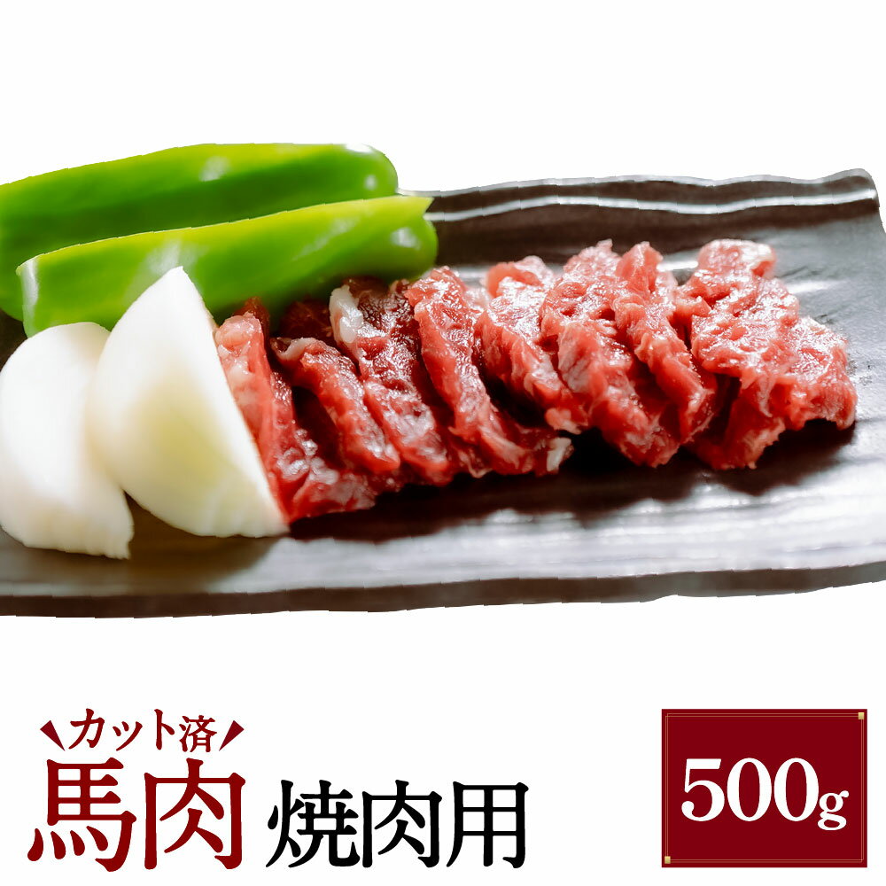 【ふるさと納税】【桜屋】馬肉 焼肉用 500g カット済 馬肉 お肉 馬焼き 焼き肉 冷凍 熊本県 湯前町 送料無料
