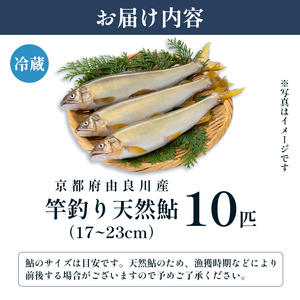 【2025年夏発送】天然鮎 竿釣り 10匹 （17～23cm） 【 あゆ 鮎 アユ 竿釣り鮎 天然鮎 生鮎 鮎 】