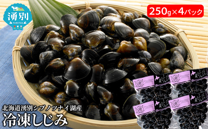 北海道湧別シブノツナイ湖産  冷凍しじみ250g×4パック シジミ 貝 