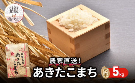 秋田県産 あきたこまち 5kg 令和7年産  玄米 [ ご飯 ブランド米 おにぎり 本場 お米 産地直送 おこめ ごはん 秋田県 秋田 能代市 保坂米穀店 ] 