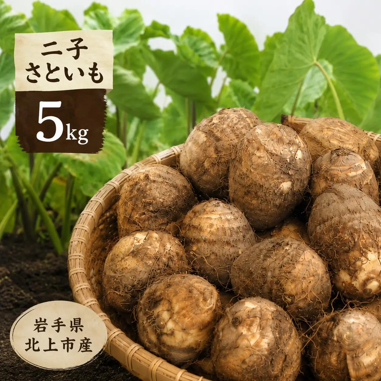 さといも 5㎏ 2L・3L サイズ！【予約受付 R8年産10月発送予定 】 秋の味覚 北上市二子産  岩手県 北上市 F0087