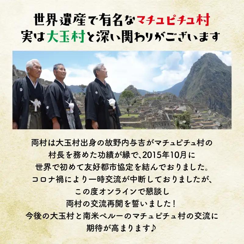 【令和8年分 先行予約】 りんご 約5kg 福島県 大玉村産 林檎 リンゴ サンふじ フルーツ