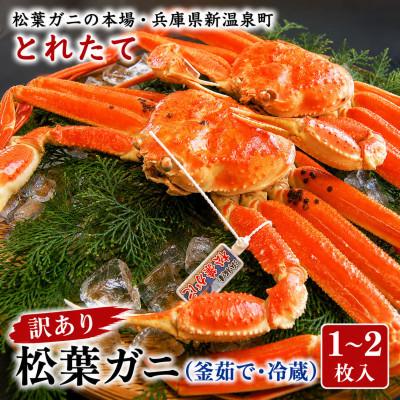 ふるさと納税 新温泉町 松葉ガニの本場・兵庫県新温泉町　とれたて　訳あり・松葉ガニ(釜茹で・冷蔵)　1〜2枚入