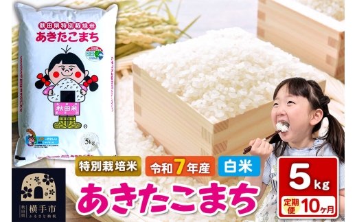 令和7年産【白米】《定期便10ヶ月》特別栽培米 あきたこまち 5kg 秋田県 横手市