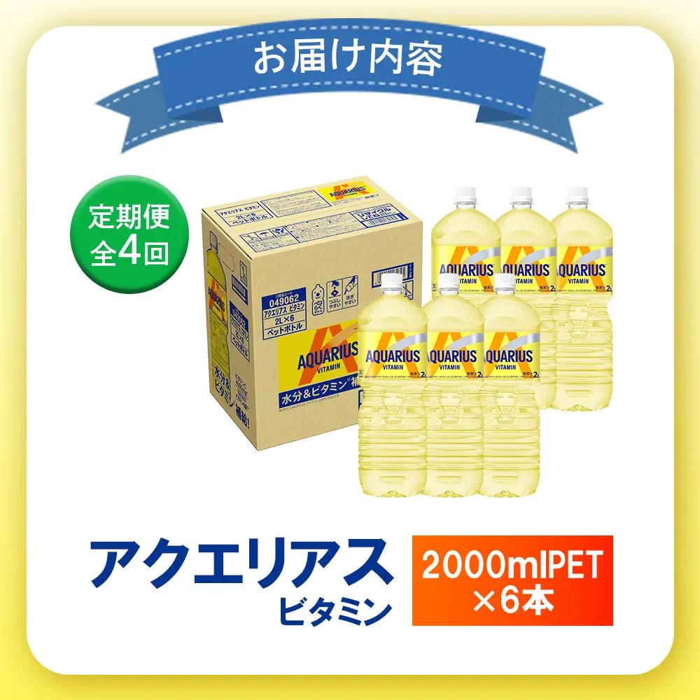 【定期便：全4回】アクエリアス ビタミン 2LPET×6本【38008801】