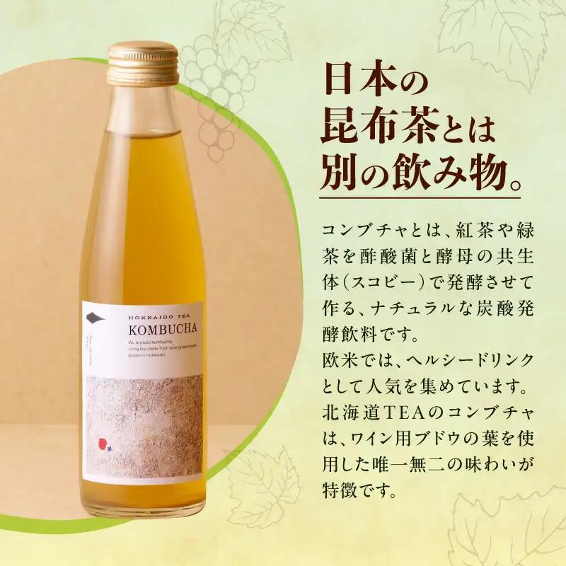 北海道TEAコンブチャ ブドウリーフ発酵 炭酸ドリンク 健康志向 甘さ控えめ_Y037-0348