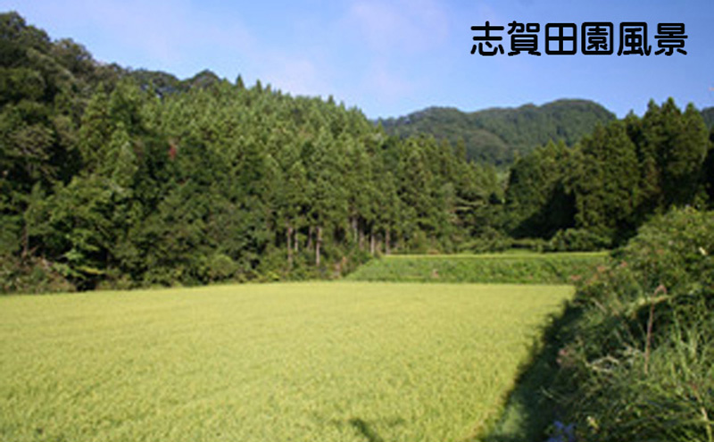 【 令和7年産】米 定期便 6ヶ月 ひとめぼれ 精米 2kg 志賀沢米