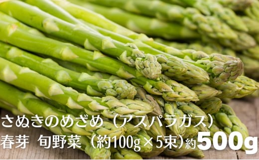 さぬきのめざめ（アスパラガス）春芽 旬野菜 約500g（約100g×5束）