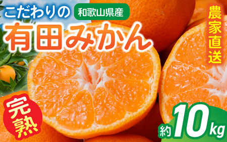 【訳あり・ご家庭用】 農家直送 こだわりの 完熟 有田みかん 約10kg＋150g(傷み補償分) 【2026年11月中に順次発送予定】有機質肥料100% 有田みかん みかん ミカン 蜜柑 柑橘 果物 フルーツ 甘い 温州みかん 先行予約【CE-nuk101D-11】