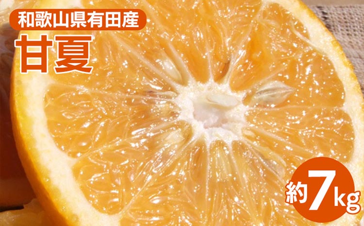 甘夏(あまなつ)秀品[約7kg] 和歌山県有田産 春みかん 【果実サイズおまかせ】｜和歌山県産 柑橘 フルーツ 紀伊国屋文左衛門本舗 ※2025年4月上旬～4月下旬頃に順次発送予定