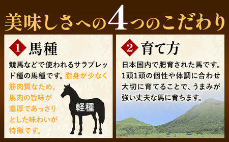 馬刺し 赤身馬刺し&ユッケ 計310g 熊本 | 馬刺し