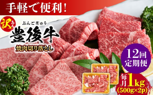 【全12回定期便】【訳あり】おおいた豊後牛 焼肉 切り落とし 1kg(500g×2P) 日田市 / 株式会社MEAT PLUS　牛 うし 黒毛和牛 和牛 豊後牛 [AREI136]