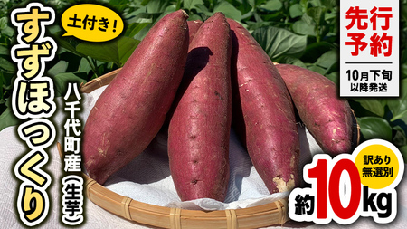 訳あり さつまいも すずほっくり 約10kg さつまいも さつまいも さつまいも さつまいも さつまいも さつまいも さつまいも