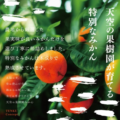 天空の果樹園から届くそらみかん (3kg)【訳あり】【A95-6】【1668486】