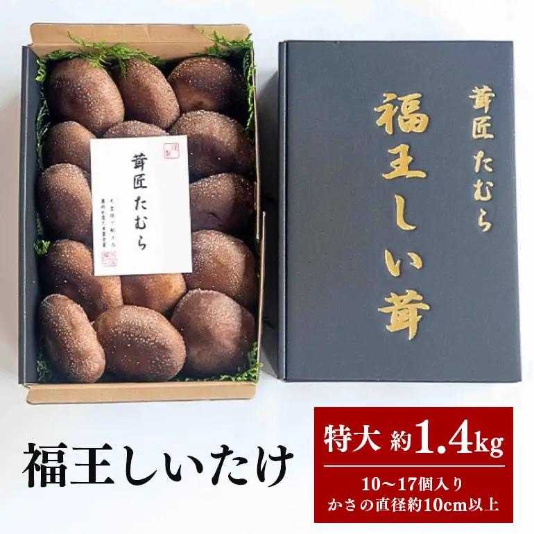 【先行販売/2026年10月末以降発送】 福王しいたけ 特大サイズ 約1.4kg IA-008