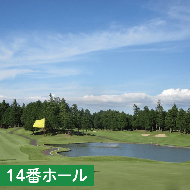 阿見ゴルフクラブプレーご招待券（土日祝4名様）【ゴルフ プレー券 ゴルフ場利用券 阿見町 茨城県】（30-01）