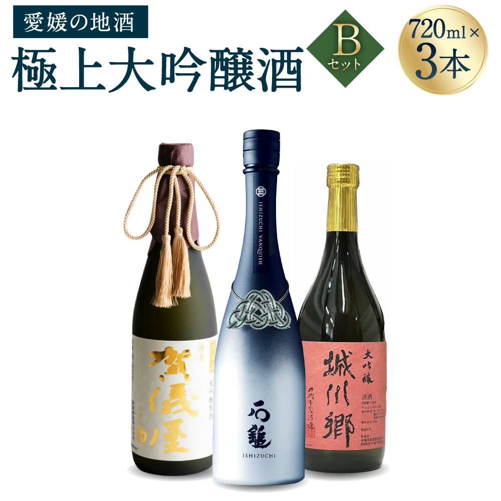 【ふるさと納税】極上大吟醸酒 Bセット 720ml×3本 飲み比べ 飲みくらべ 日本酒 大吟醸 お酒 酒 さけ 地酒 高級 ハイクラス 送料無料 (072-1)