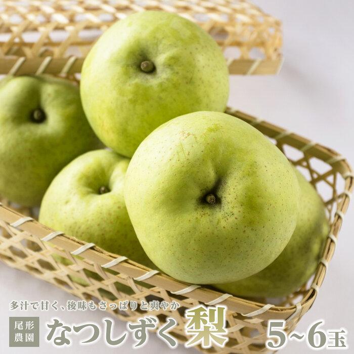 【ふるさと納税】尾形農園のなつしずく梨（1）【5～6玉入り】