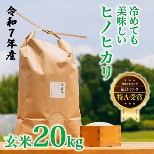 令和7年産 冷めても美味しいヒノヒカリ玄米20kg