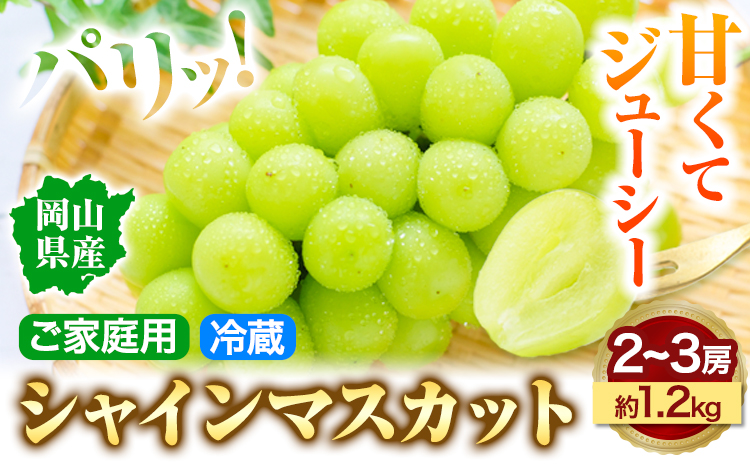 【先行予約】岡山県産 シャインマスカット (家庭用) 2〜3房(約1.2kg)《9月中旬-11月中旬頃より発送予定(土日祝除く)》テレビせとうち株式会社 冷蔵 果物 ブドウ 送料無料 岡山県 浅口市