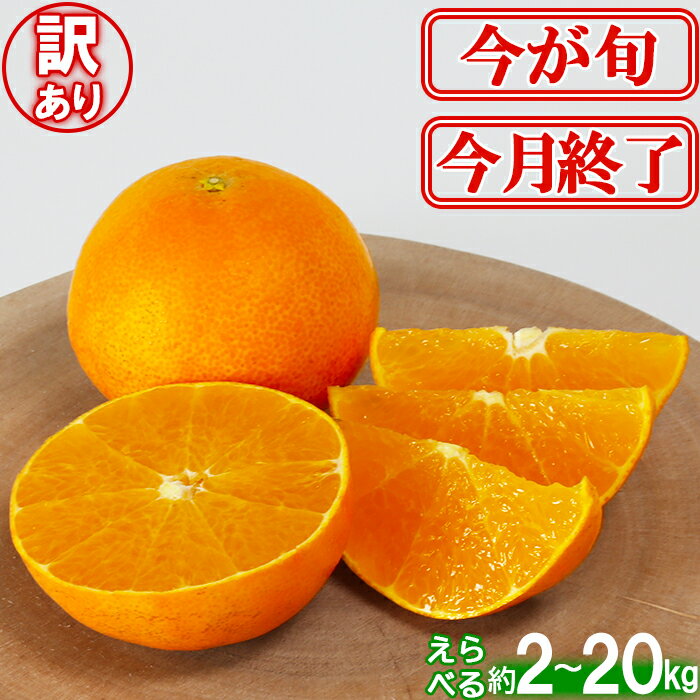 【ふるさと納税】【訳あり・優品】今村農園のおひさまきらりん 約2〜20kg 先行予約 果物 フルーツ 傷 不揃い 大容量 2kg 3.5kg 5kg 10kg 20kg＜107-704_7＞