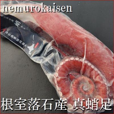 ふるさと納税 根室市 【北海道根室産】刺身用真だこ足800g〜1.2kg前後×1本 A-57059