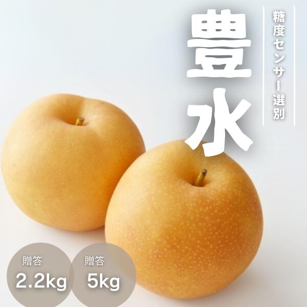【ふるさと納税】梨 豊水 約2.2kg or 約5kg／9月上旬～9月下旬ごろ配送// 糖度センサー選別 厳選 南信州 長野県 和梨 なし ナシ 新鮮 厳選 贈答 2kg JA31