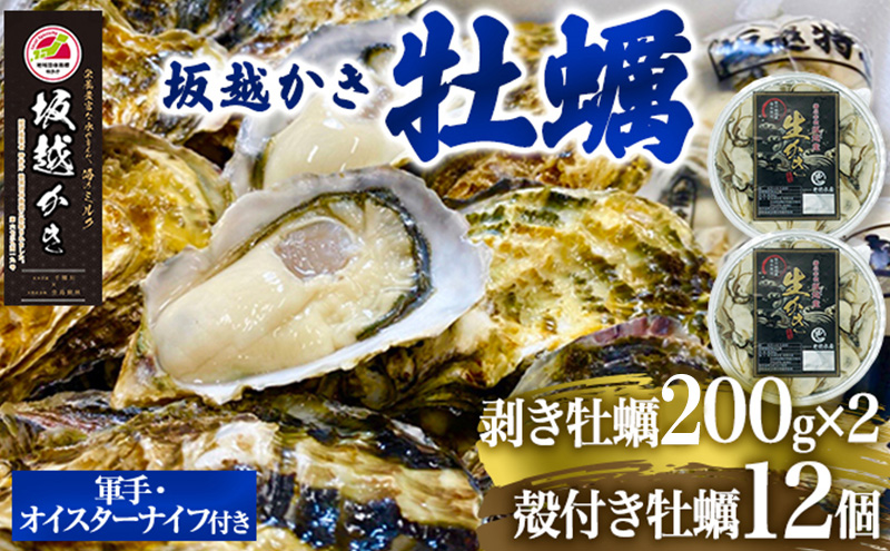  牡蠣 坂越かき 剥き牡蠣 200g×2、殻付き牡蠣 12個 軍手・オイスターナイフ付き[ 生牡蠣 かき カキ 生食 冬牡蠣 ] 魚貝類 剥き身 