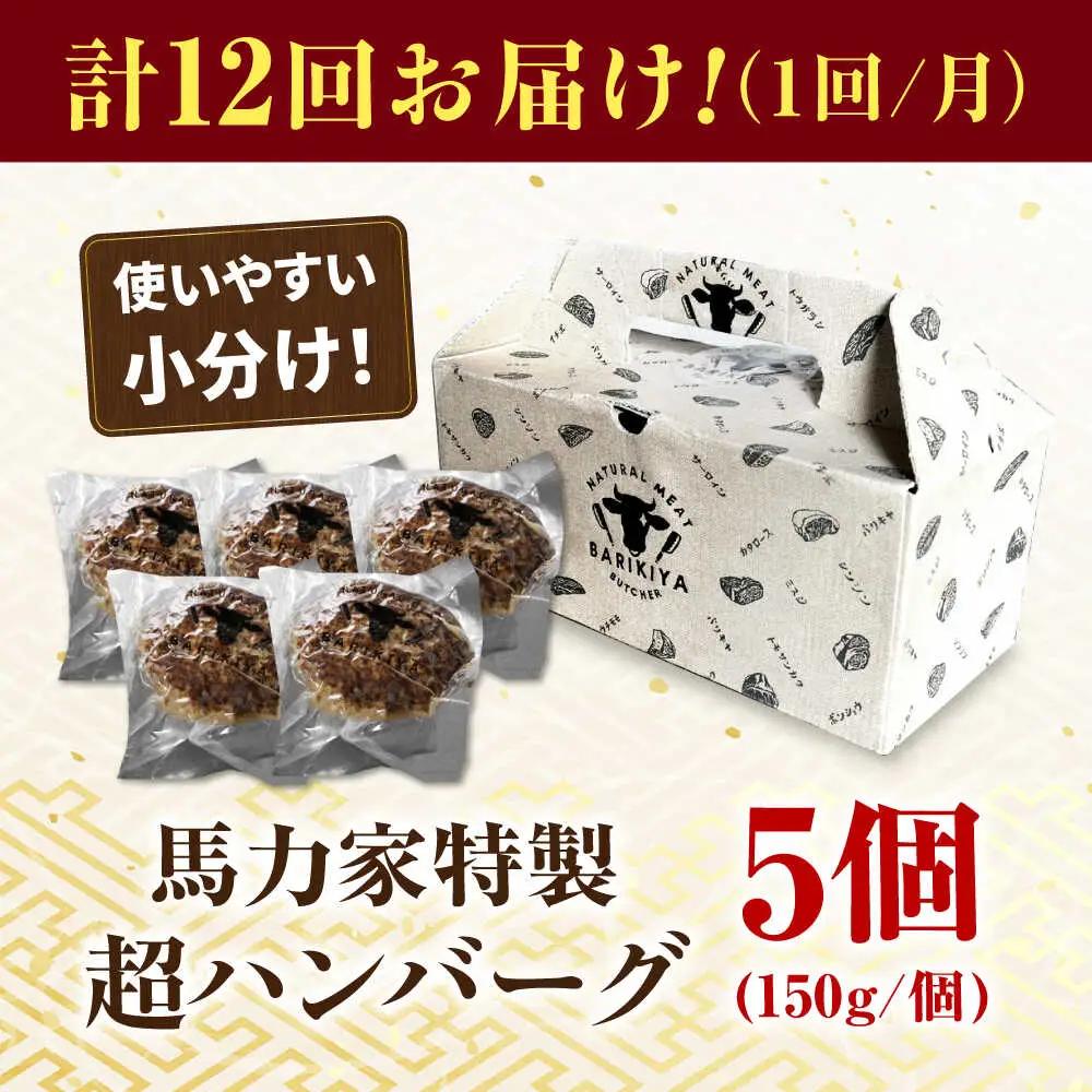 【12回定期便】超ハンバーグ ミニ 5個[AVBO068]飛騨牛 定期便