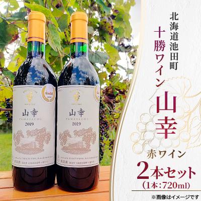 ふるさと納税 池田町 十勝ワイン 山幸2本セット