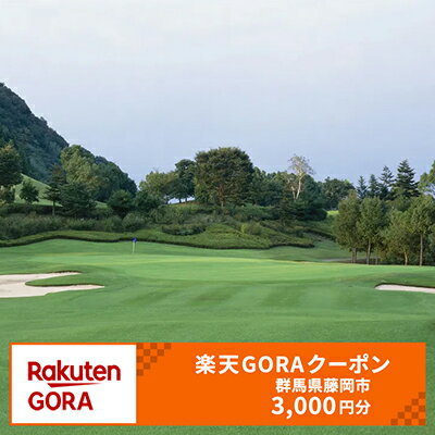 【ふるさと納税】群馬県藤岡市の対象ゴルフ場で使える楽天GORAクーポン 寄付額10,000円（クーポン額3,000円）