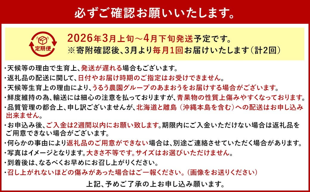 【2回定期便】 うるう農園のあまおう サイズ色々4パック （計約1140g） 【2026年3月上旬～4月下旬発送予定】 あまおう いちご 苺 果物 フルーツ 定期便 冷蔵 福岡県 太宰府