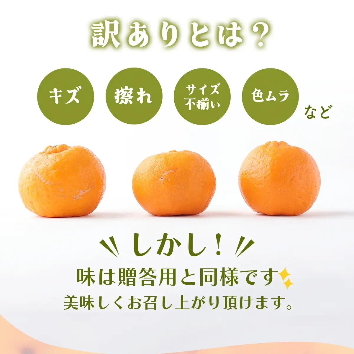 【先行予約】訳アリ完熟ぽんかん 5kg 【株式会社フクチャンFARM】
