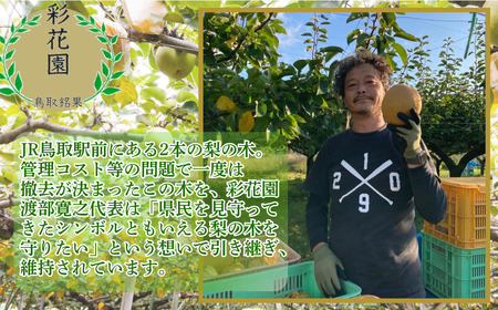 Y485 『特級 王秋』　梨シロップ　370m 2本セット 