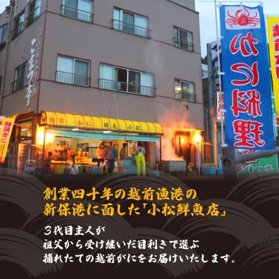 ふるさと納税 越前町 地元鮮魚店厳選 ≪浜茹で≫ 越前がに 大きめサイズ 1杯【2月発送分】 |  | 02