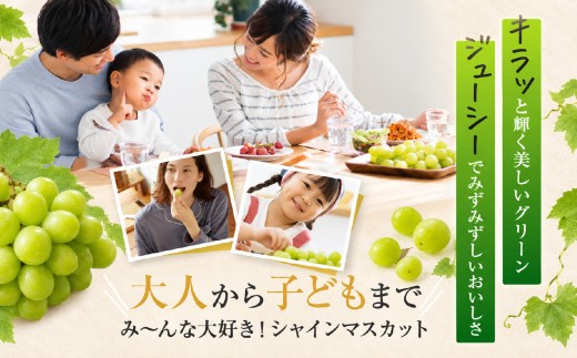有機栽培　塩尻市桔梗ヶ原産シャインマスカット