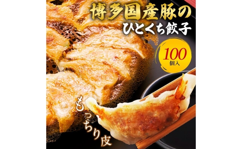 
博多ひとくち餃子100個入
