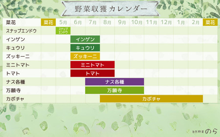 【毎月定期便3回】季節の野菜セット (8~10種)《お申込み翌月から出荷》