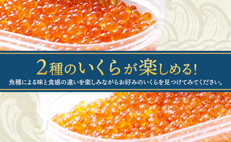 いくら 醤油漬け 2種 セット 詰め合わせ 鮭 鱒 イクラ 鮭いくら 200g 鱒いくら 180g 食べ比べ 魚卵 加工品 魚介 魚介類 海鮮 海鮮セット ご飯のお供 ごはんのお供 北海道 留萌