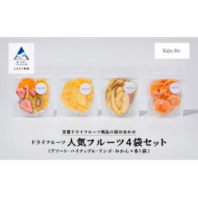 ふるさと納税 小松市 Kaju Re:人気のフルーツ4袋セット ドライフルーツ りんご パイナップル キウイ みかん 苺 | 
