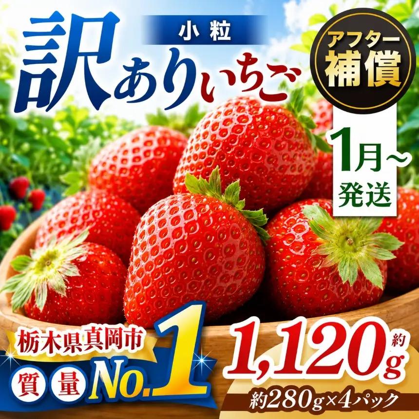 【先行予約受付中】【2027年1月発送】小粒 とちあいか 約1120g （280g×4パック）