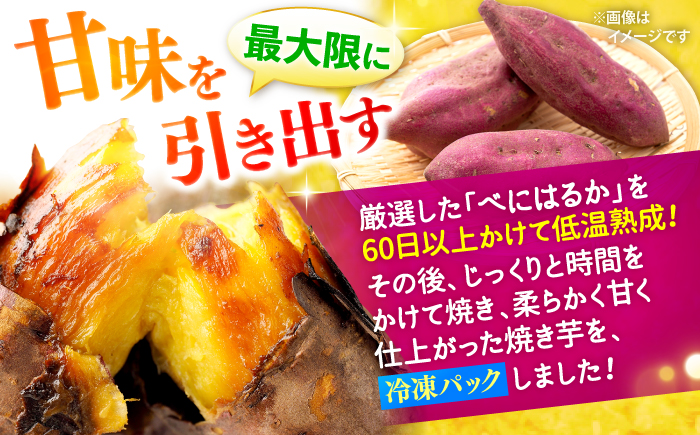 焼き芋 芋 べにはるか やきいも 冷凍 2kg ＜大地のいのち＞ [CDA012] 長崎 西海 さつまいも 芋 べにはるか 焼き芋 焼芋 贈答 ギフト 甘い