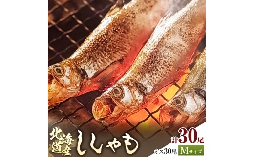 北海道産 ししゃも オス M30尾 有限会社阿部水産《14日以内に出荷予定》北海道 日高町 国産 魚 シシャモ 魚介 海鮮 グルメ 食べ物