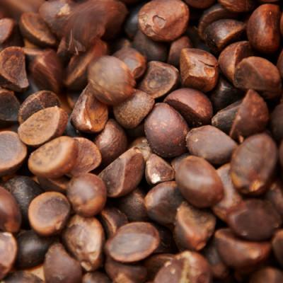 ふるさと納税 利島村 【東京都利島産】椿油&椿櫛セット!伊豆諸島の小さな島からお届けします◎/神代椿 -金-・椿櫛3寸 |  | 03