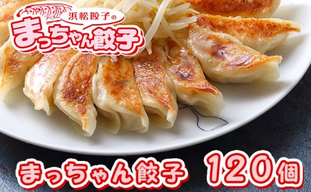 浜松餃子 まっちゃん 120個 (40個×3) 餃子 国産 冷凍 ぎょうざ 浜松