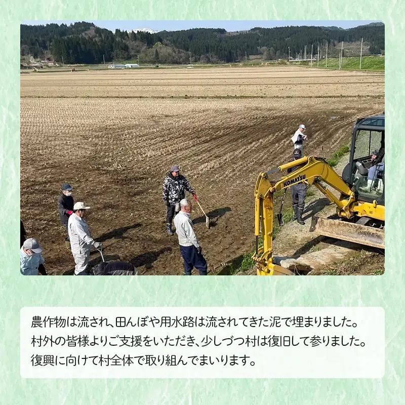 ≪新米先行予約≫ 復興応援米 令和8年度 山形県戸沢村産 雪若丸 10kg(5kg×2) 精米 白米 お米 米 ご飯 ごはん ブランド米 家庭用 自宅用 贈答用 お取り寄せ 食品 山形県 戸沢村 F7