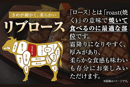 くまもと黒毛和牛 リブロースステーキ 500g 牛肉 冷凍 《30日以内に出荷予定(土日祝除く)》 くまもと黒毛和牛 黒毛和牛 冷凍庫 個別 取分け 小分け 個包装 ステーキ肉 にも リブロースステー