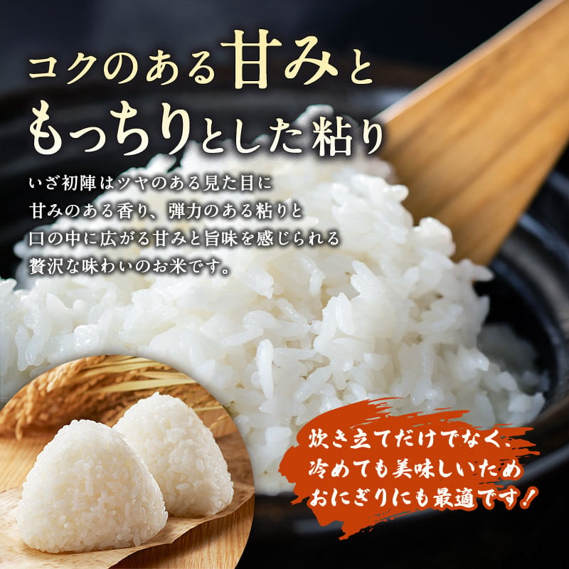 【定期便】令和6年産 新米 精米 ブランド米「いざ初陣」15kg（1kg×15個を3カ月）食味値85以上 整粒歩合80%以上