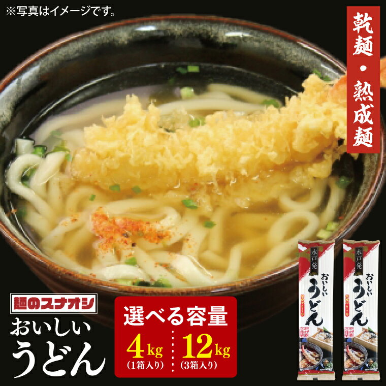 【ふるさと納税】【麺のスナオシ】水戸発　おいしいうどん1箱　4kg（200g×20袋）（乾麺）【饂飩 麺 長期保存 保存食 防災 人気 大容量 水戸市 茨城県】（BY-15）