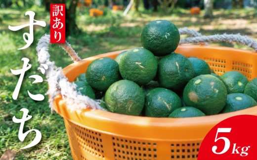 訳あり すだち 5kg すだち【9月～10月中旬発送】 徳島県産 スダチ 酢橘 ゆず レモン の代わりに 焼き魚 さんま かつお 刺身 唐揚げ そうめん お酒 に最適 徳島県 神山町
